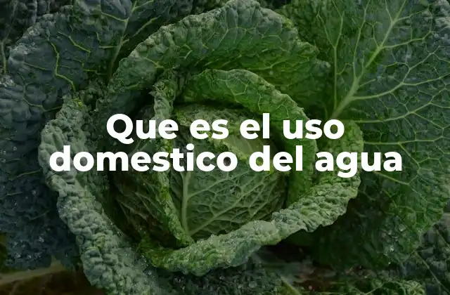 Que es el Uso Domestico Del Agua