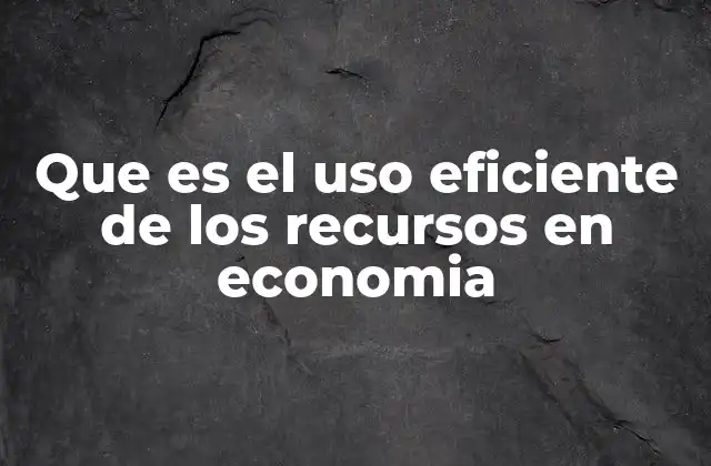 Que es el Uso Eficiente de los Recursos en Economia