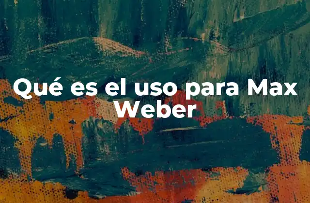 Qué es el Uso para Max Weber