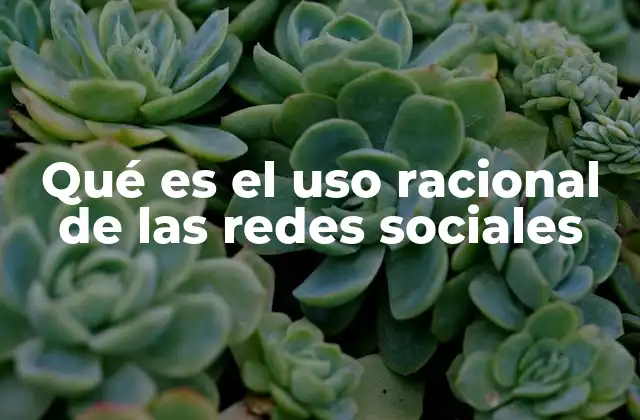 Qué es el Uso Racional de las Redes Sociales