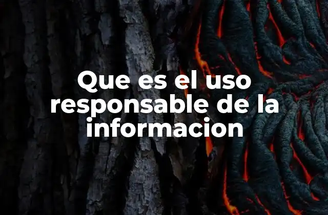 Que es el Uso Responsable de la Informacion