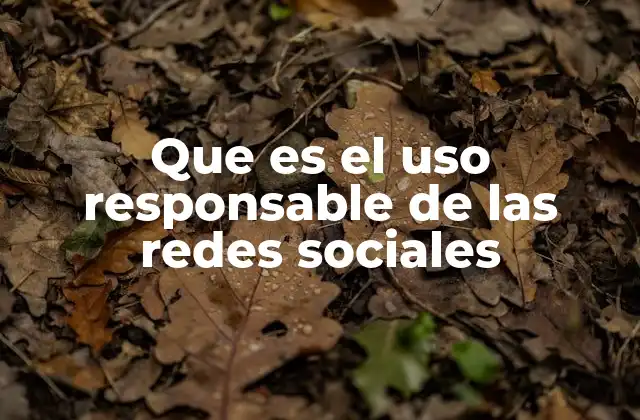 Que es el Uso Responsable de las Redes Sociales