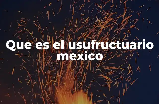 Que es el Usufructuario Mexico