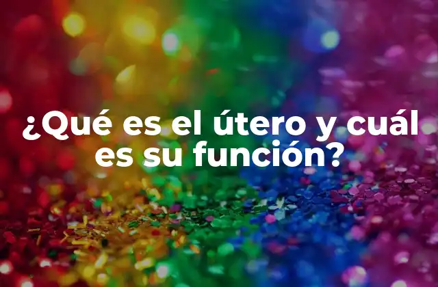 ¿qué es el Útero y Cuál es Su Función? 16 Anatomía del útero