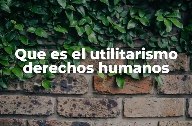 Que es el Utilitarismo Derechos Humanos