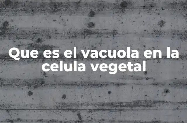 Que es el Vacuola en la Celula Vegetal