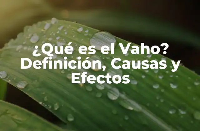 ¿qué es el Vaho? Definición, Causas y Efectos