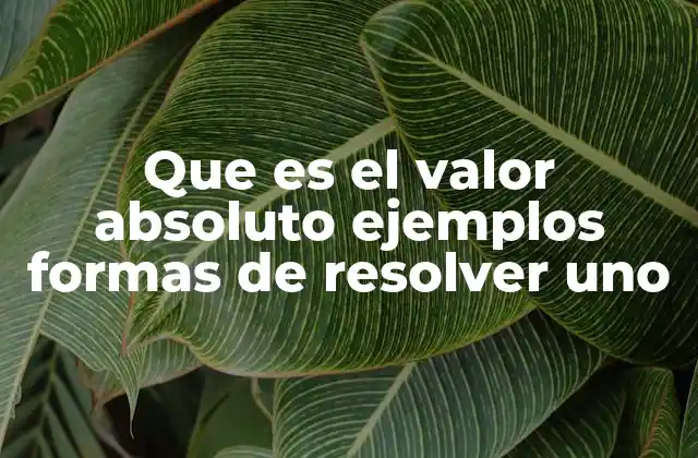 Que es el Valor Absoluto Ejemplos Formas de Resolver Uno