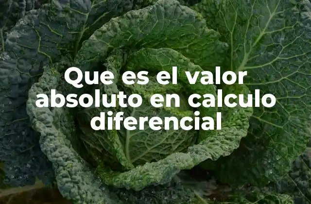 Que es el Valor Absoluto en Calculo Diferencial