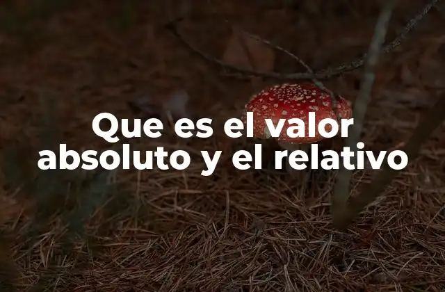 Que es el Valor Absoluto y el Relativo