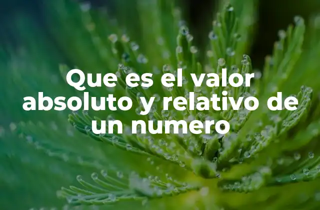 Que es el Valor Absoluto y Relativo de un Numero