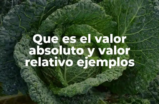 Que es el Valor Absoluto y Valor Relativo Ejemplos