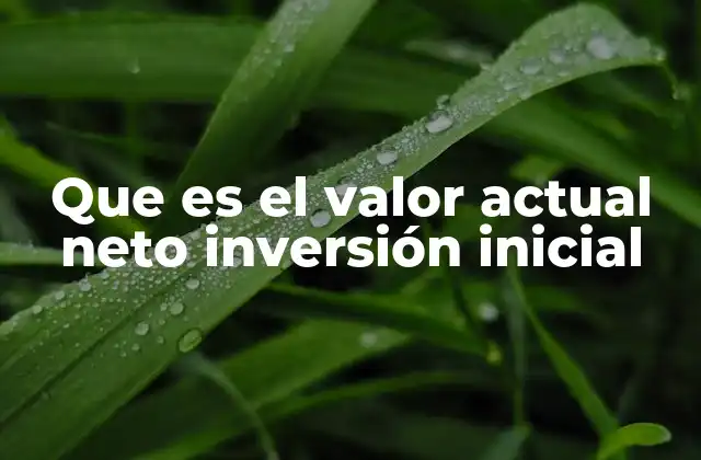 Cómo se relaciona el VAN con los flujos de efectivo futuros