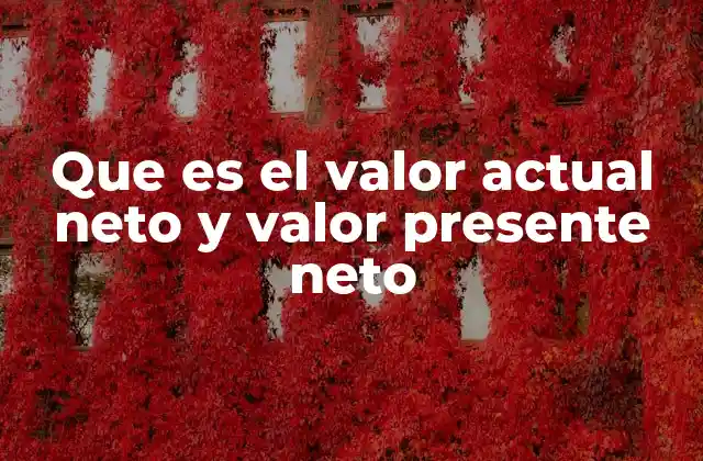 El concepto detrás del cálculo del VAN/VPN