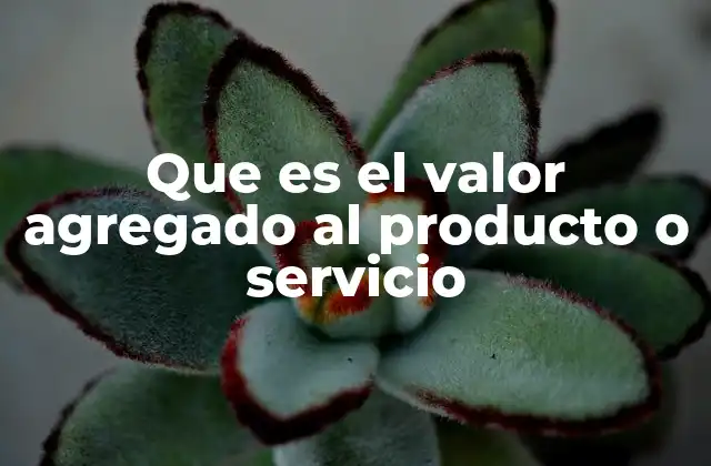 Que es el Valor Agregado Al Producto o Servicio