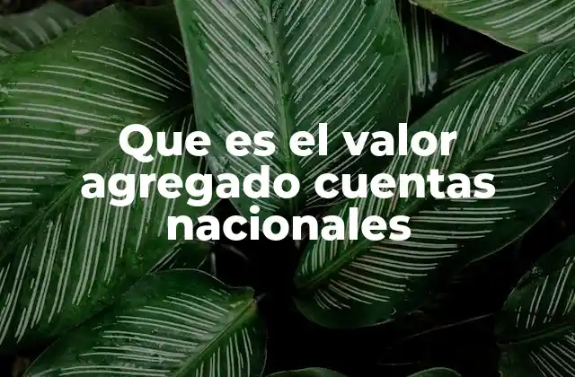 La importancia del valor agregado en la medición económica