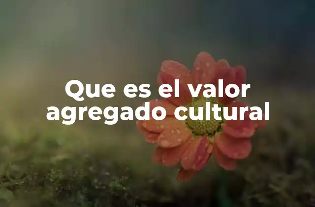Que es el Valor Agregado Cultural