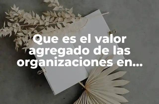 Que es el Valor Agregado de las Organizaciones en Mercadotecnia