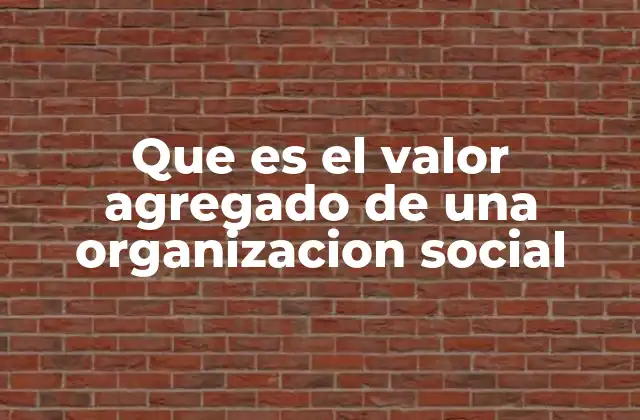 Que es el Valor Agregado de una Organizacion Social