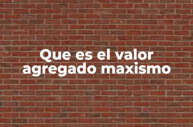 Que es el Valor Agregado Maxismo
