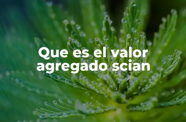 La importancia del valor agregado en la medición económica