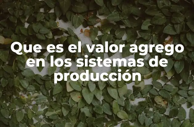 Que es el Valor Agrego en los Sistemas de Producción