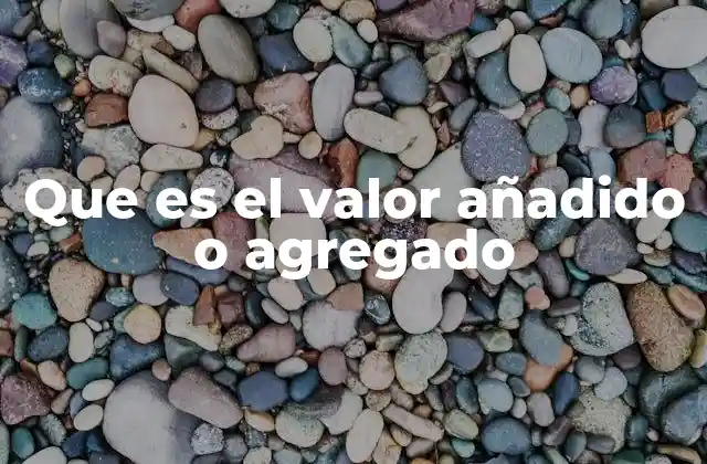 Que es el Valor Añadido o Agregado