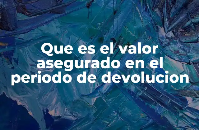 Que es el Valor Asegurado en el Periodo de Devolucion