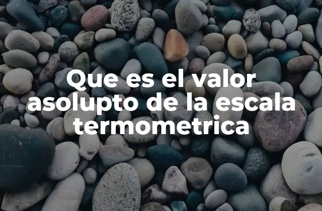 Que es el Valor Asolupto de la Escala Termometrica