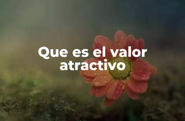 Que es el Valor Atractivo 2 La importancia del atractivo en la toma de decisiones
