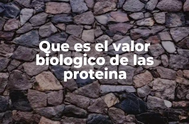 Que es el Valor Biologico de las Proteina