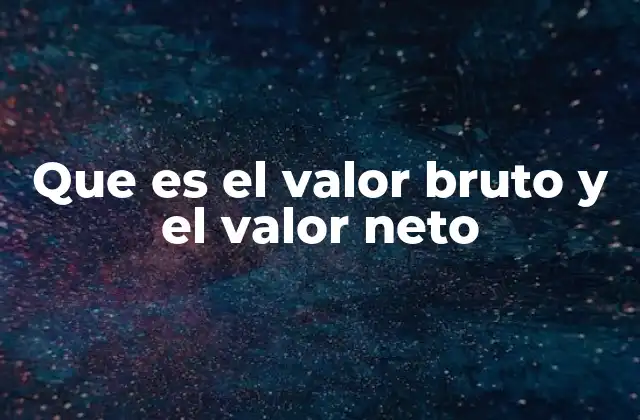 Que es el Valor Bruto y el Valor Neto
