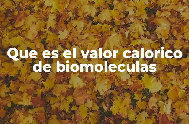 Que es el Valor Calorico de Biomoleculas
