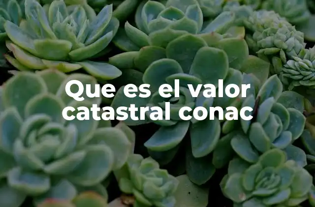 Que es el Valor Catastral Conac 2 El papel del valor catastral en la administración pública