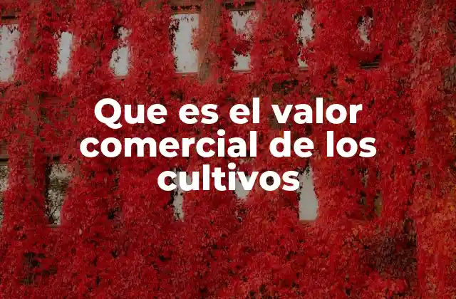 Que es el Valor Comercial de los Cultivos 2 La importancia de los cultivos en la economía agraria