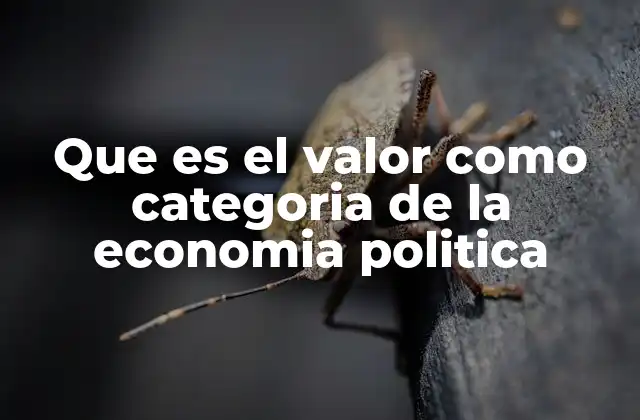 Que es el Valor como Categoria de la Economia Politica