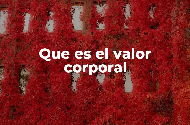 Que es el Valor Corporal