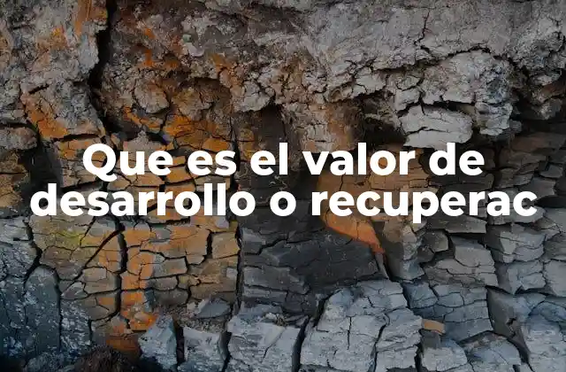 Que es el Valor de Desarrollo o Recuperac