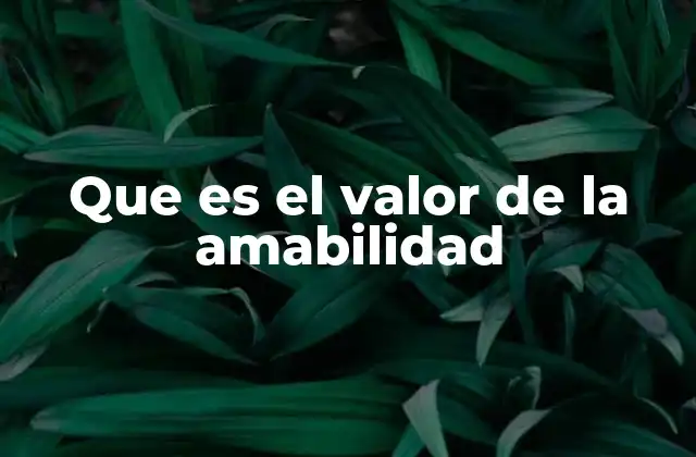 Que es el Valor de la Amabilidad