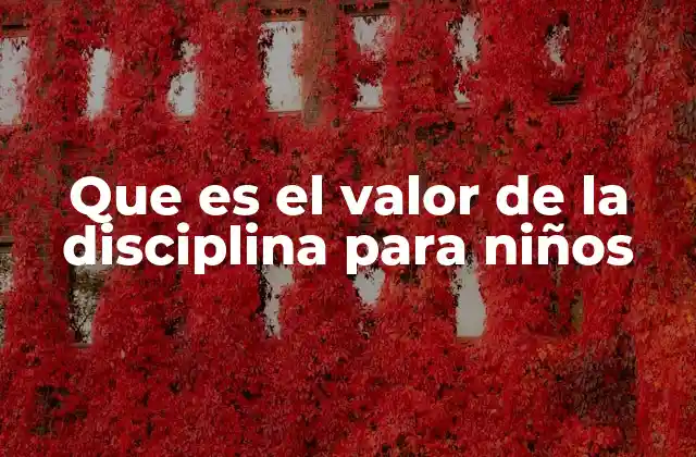 Que es el Valor de la Disciplina para Niños