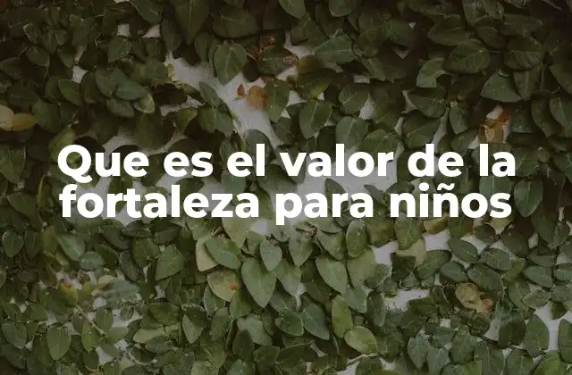 Que es el Valor de la Fortaleza para Niños 2 Cómo la fortaleza forma parte de la educación emocional infantil