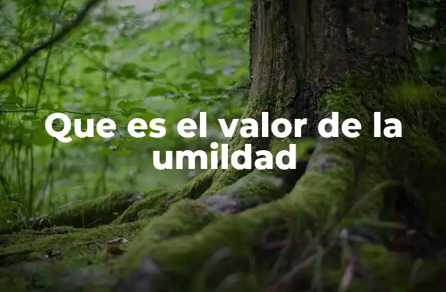 Que es el Valor de la Umildad