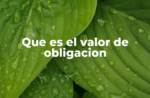El rol de la obligación en la construcción de la sociedad