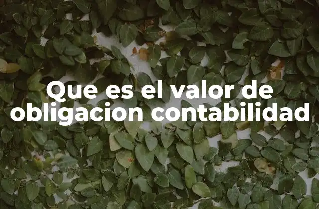 Que es el Valor de Obligacion Contabilidad