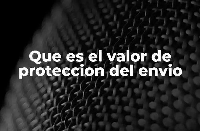 Que es el Valor de Proteccion Del Envio