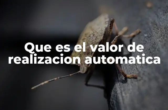El impacto de la automatización en la productividad empresarial