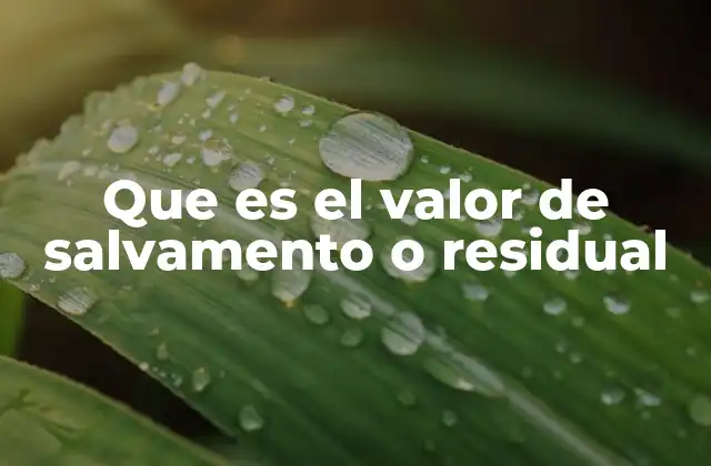 Que es el Valor de Salvamento o Residual