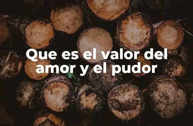 Que es el Valor Del Amor y el Pudor