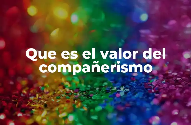 Que es el Valor Del Compañerismo