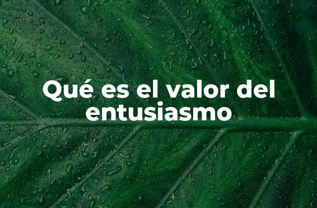 Qué es el Valor Del Entusiasmo